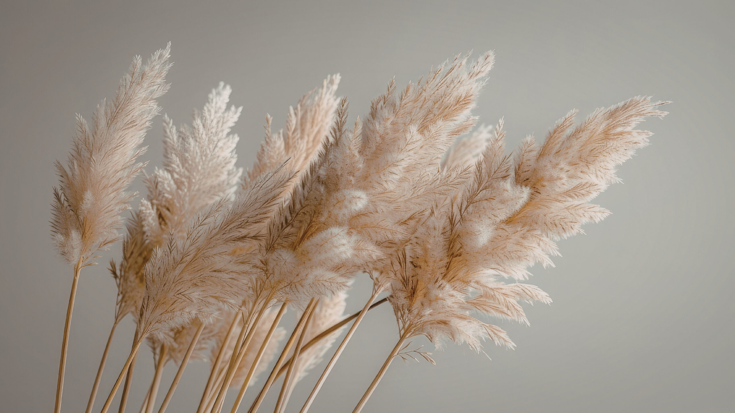 brown photocentric inspirational youtube thumbnail (präsentation) (präsentation) (präsentation)(2)