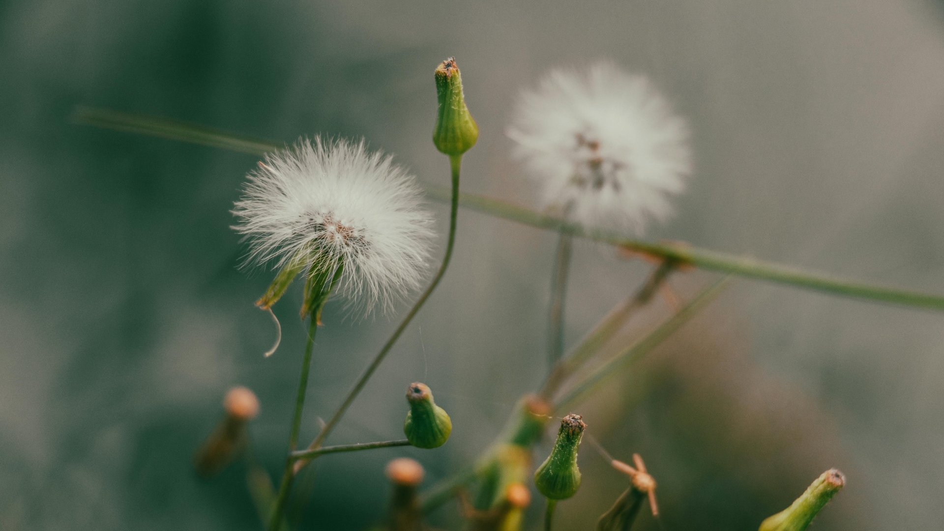 brown photocentric inspirational youtube thumbnail (präsentation) (präsentation) (präsentation)(4)